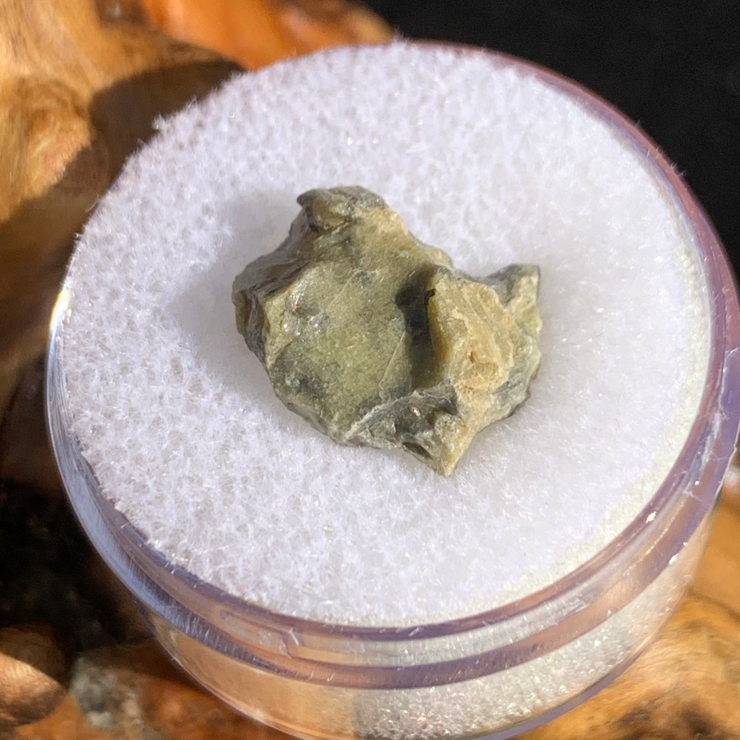 tatahouine meteorite in gem jar sitting on driftwood for display