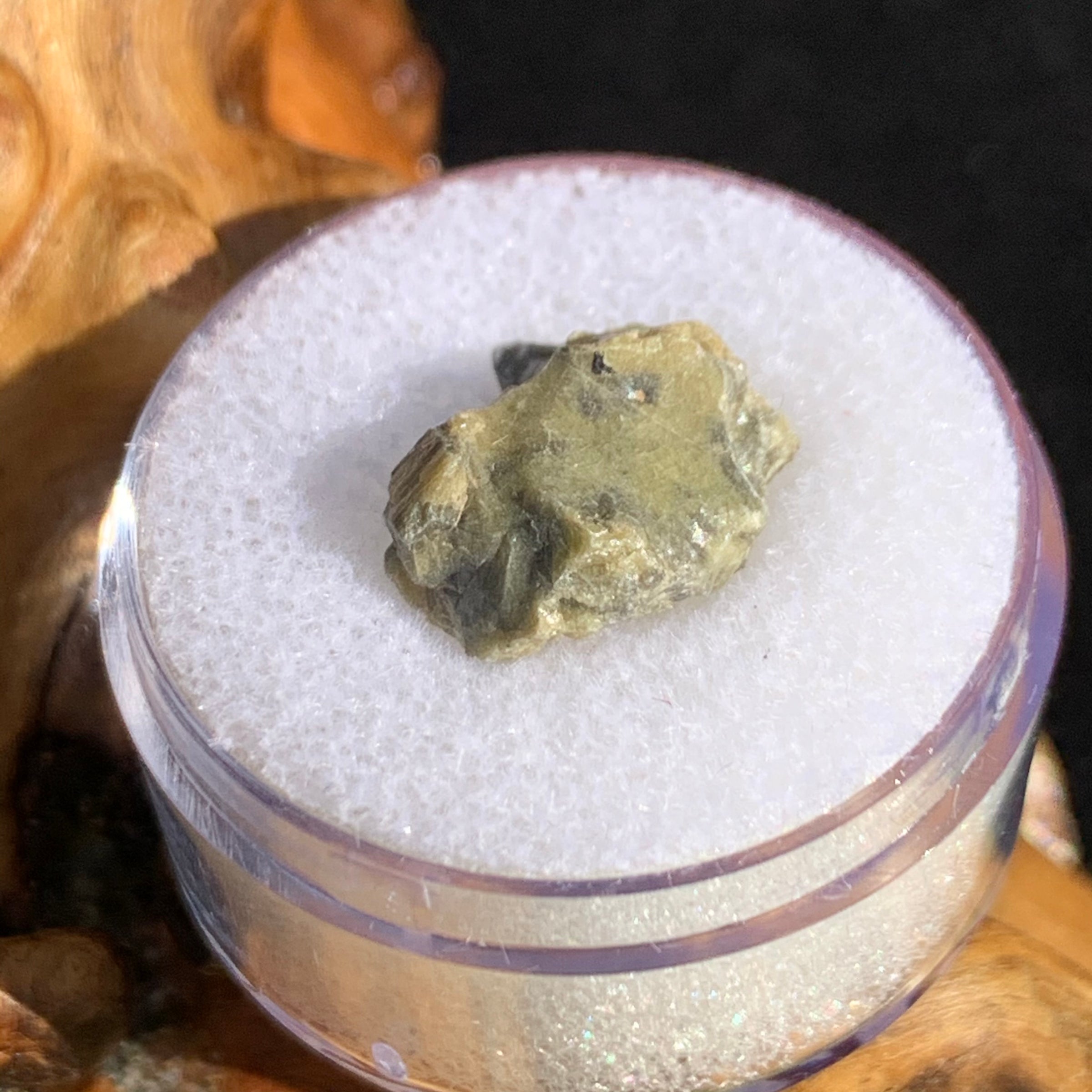 tatahouine meteorite in gem jar sitting on driftwood for display