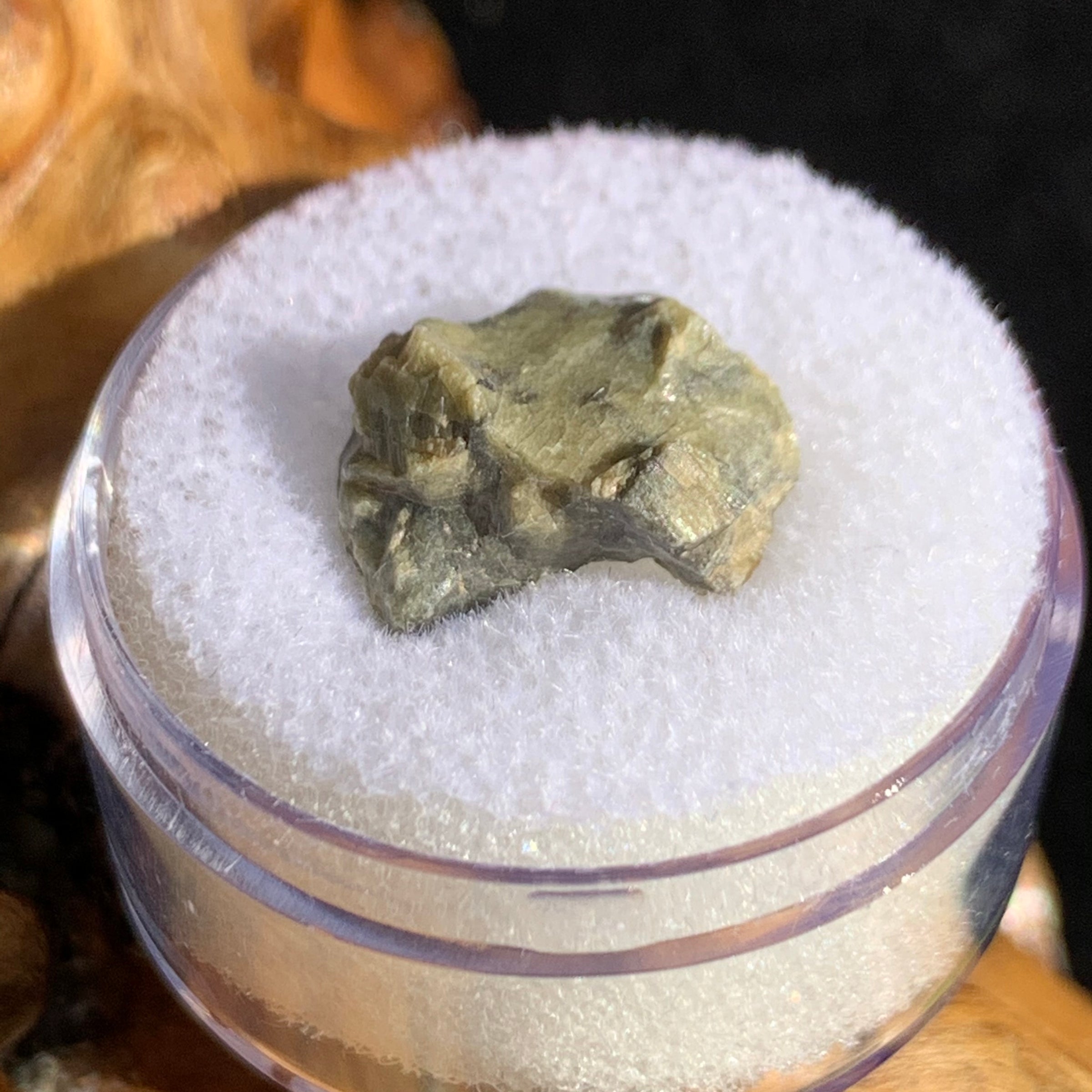 tatahouine meteorite in gem jar sitting on driftwood for display