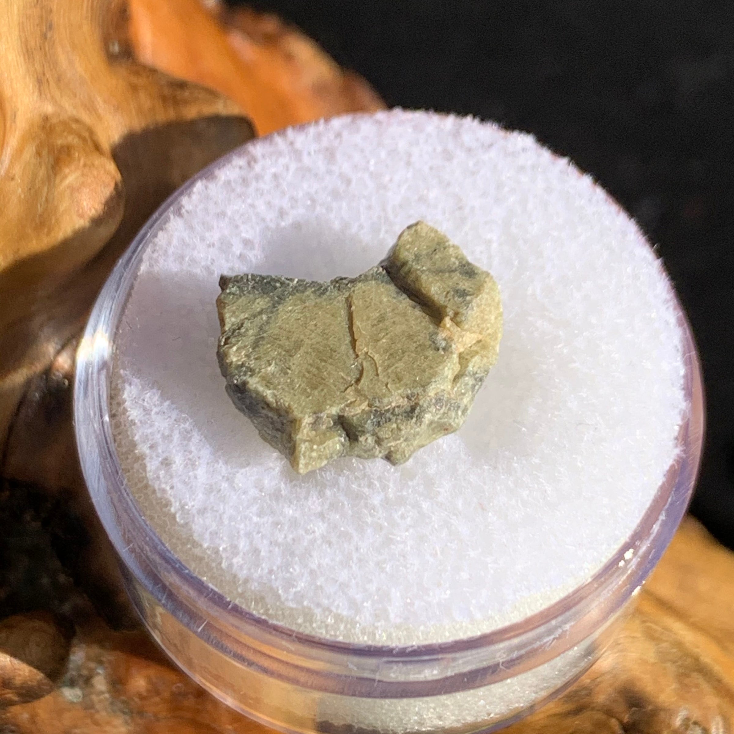 tatahouine meteorite in gem jar sitting on driftwood for display