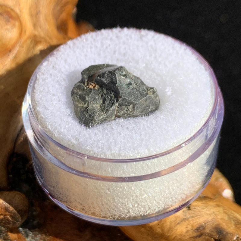 tatahouine meteorite in gem jar sitting on driftwood for display