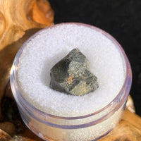 tatahouine meteorite in gem jar sitting on driftwood for display