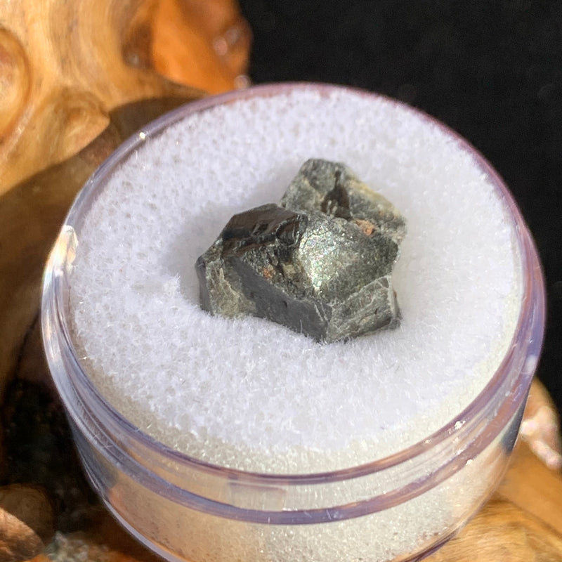 tatahouine meteorite in gem jar sitting on driftwood for display