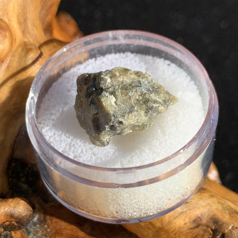 tatahouine meteorite in gem jar sitting on driftwood for display