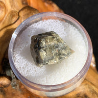 tatahouine meteorite in gem jar sitting on driftwood for display