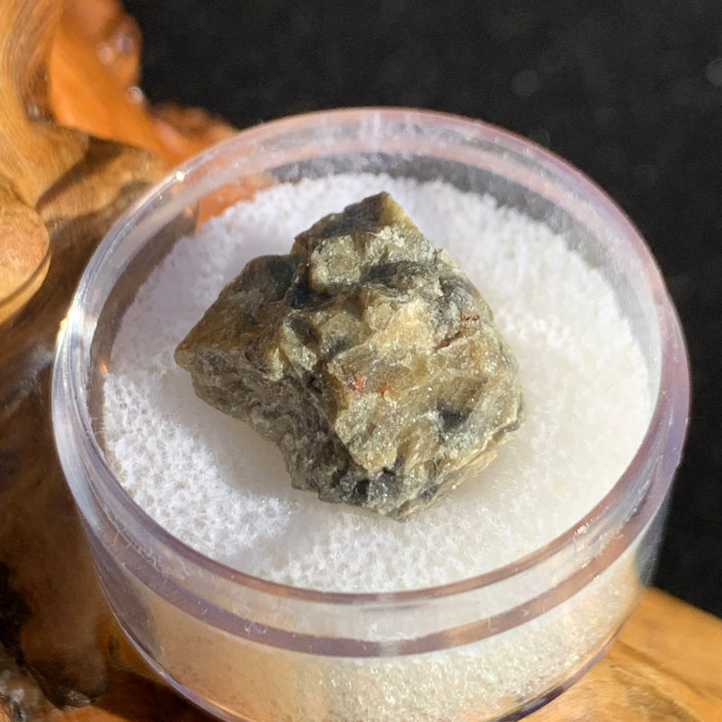 tatahouine meteorite in gem jar sitting on driftwood for display