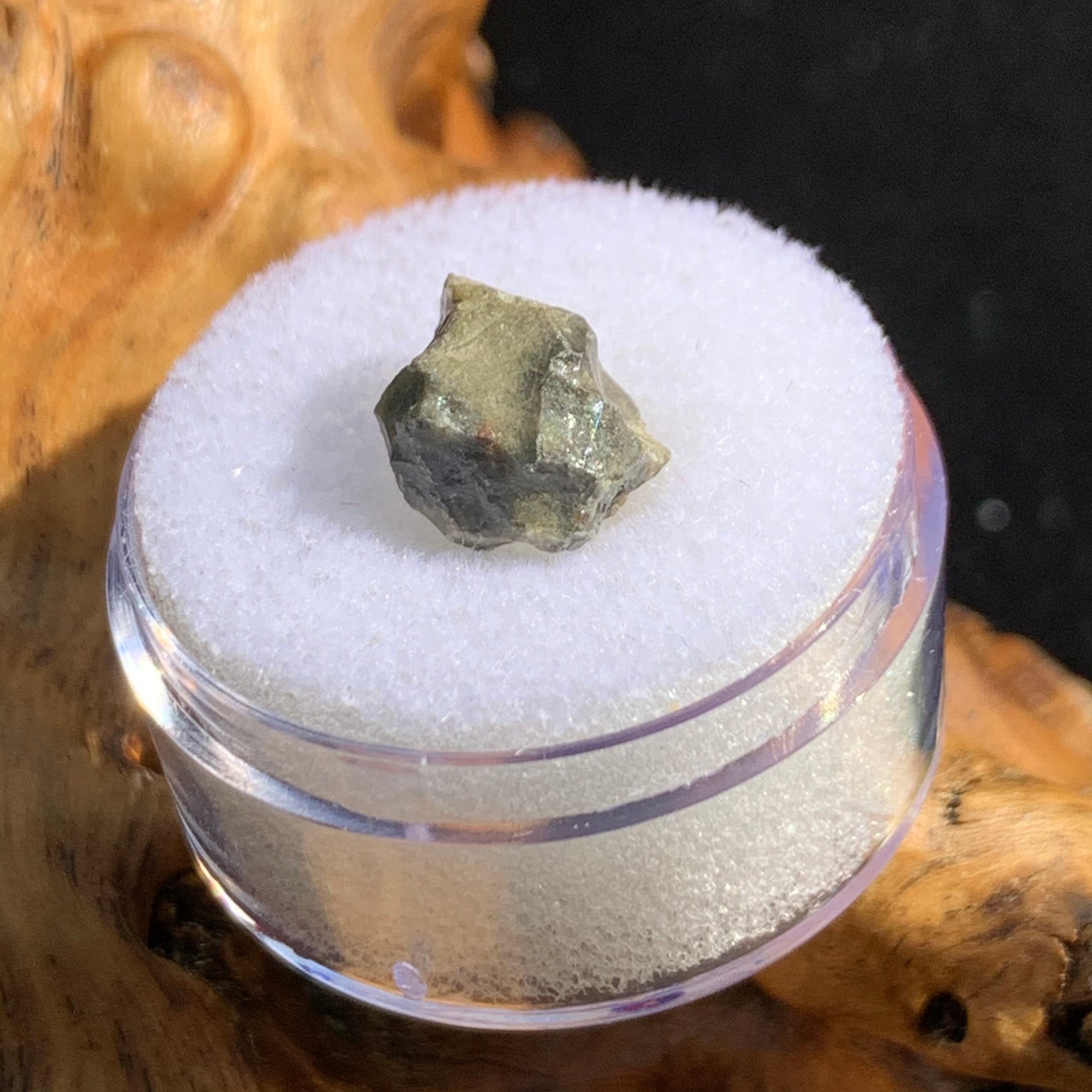 tatahouine meteorite in gem jar sitting on driftwood for display