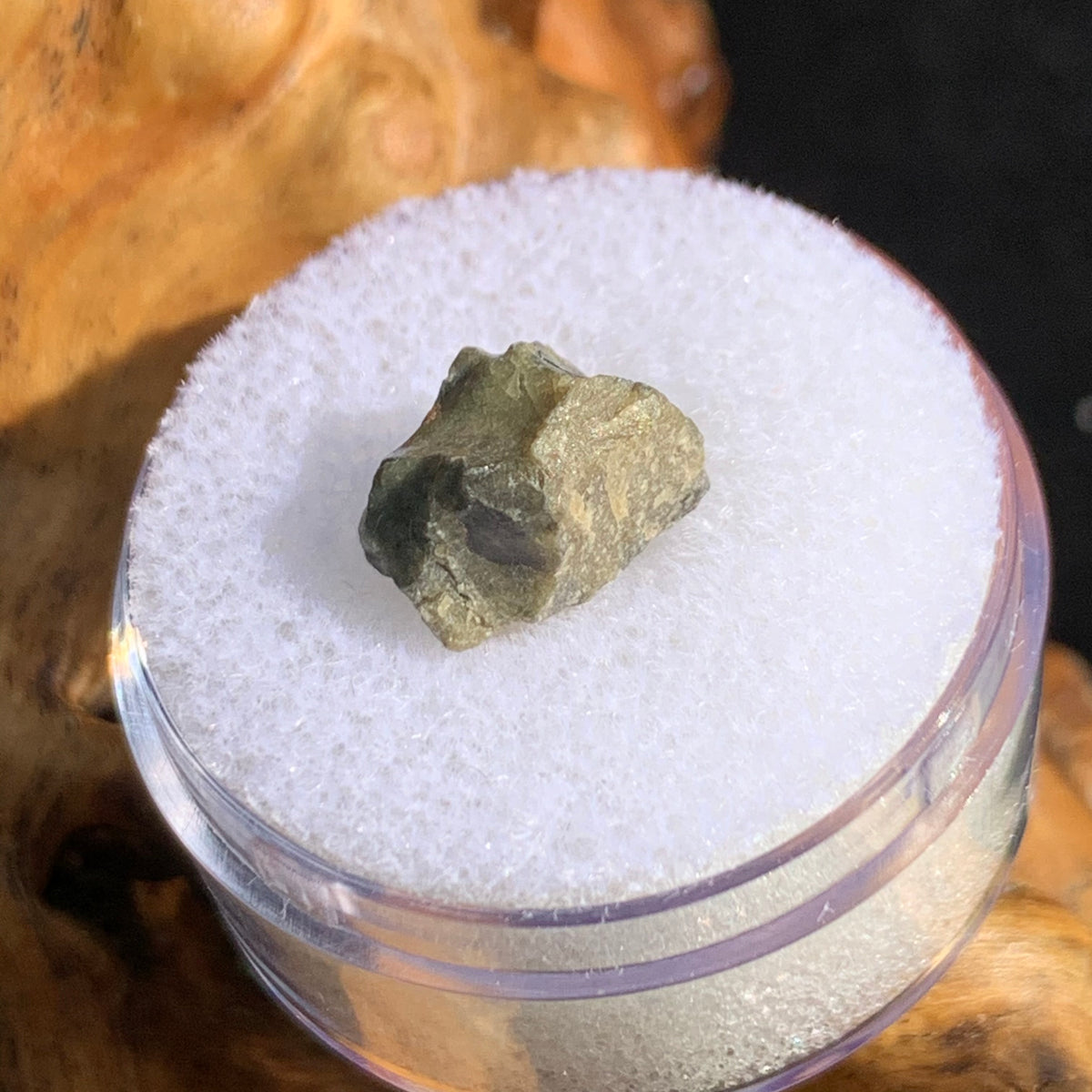 tatahouine meteorite in gem jar sitting on driftwood for display