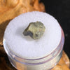 tatahouine meteorite in gem jar sitting on driftwood for display