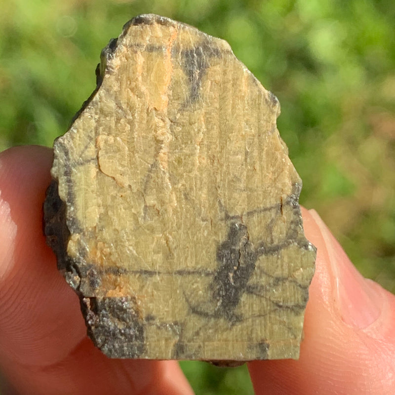 tatahouine meteorite held up on display to show details