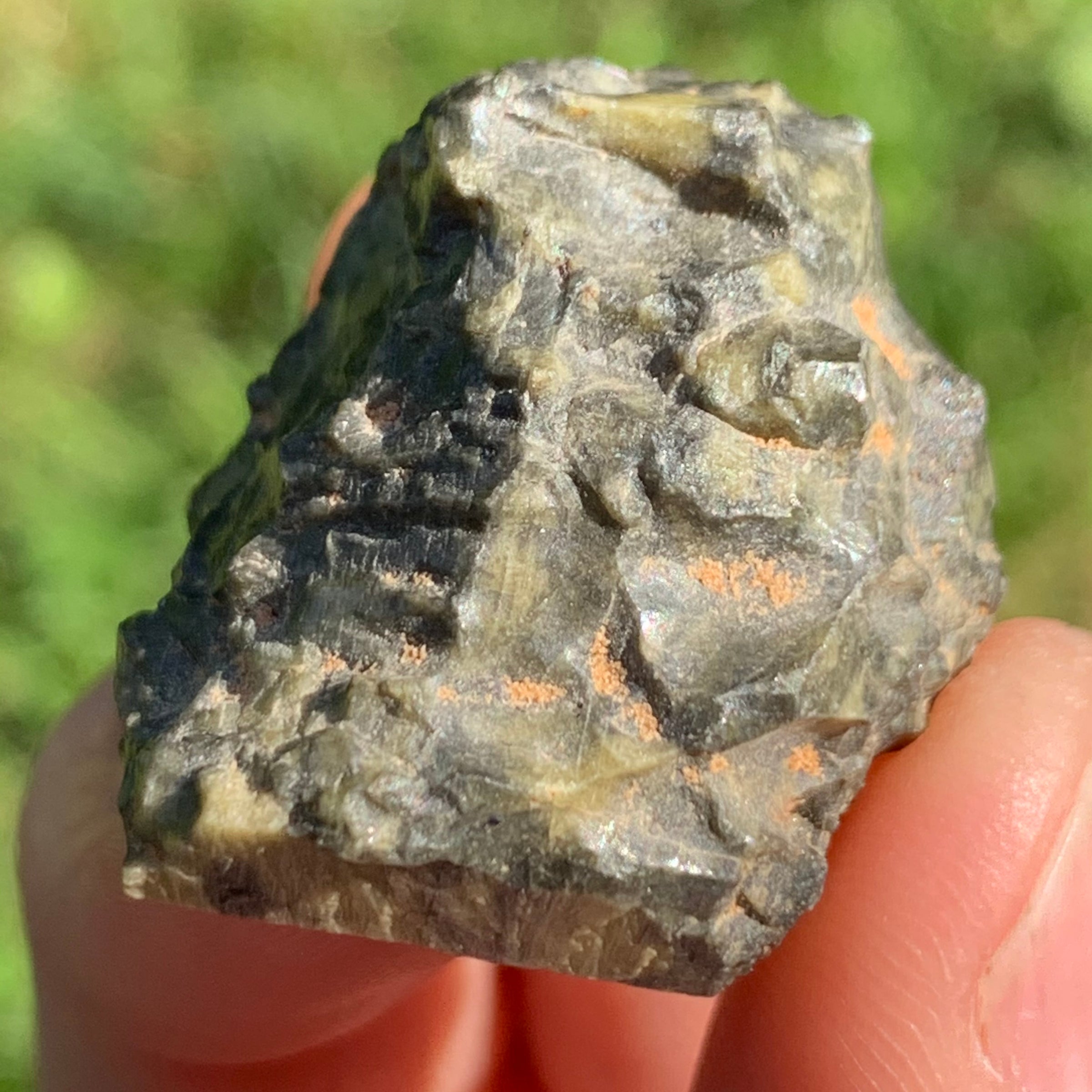 tatahouine meteorite held up on display to show details