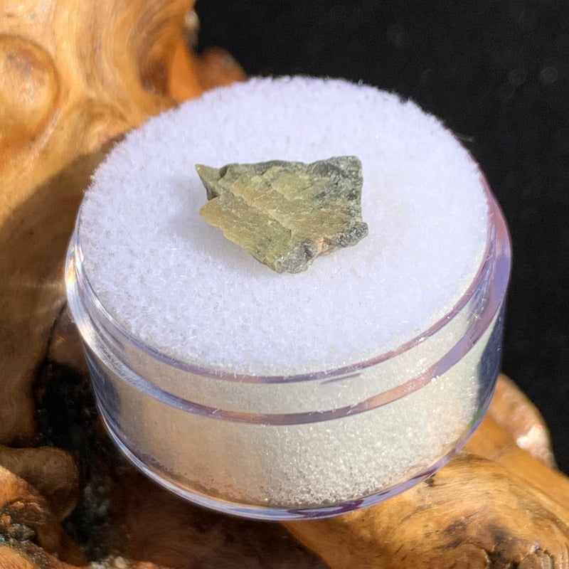 tatahouine meteorite in gem jar sitting on driftwood for display