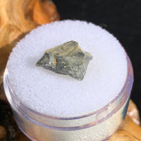 tatahouine meteorite in gem jar sitting on driftwood for display