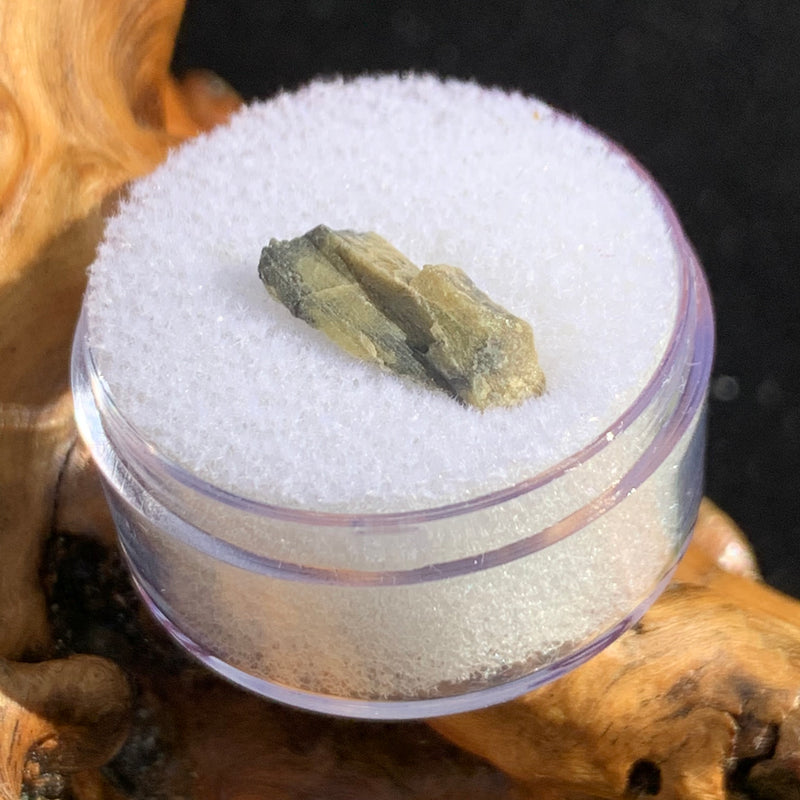 tatahouine meteorite in gem jar sitting on driftwood for display