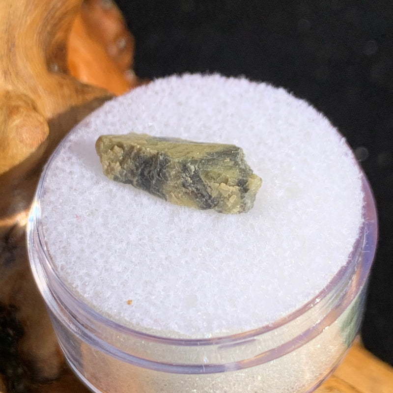 tatahouine meteorite in gem jar sitting on driftwood for display