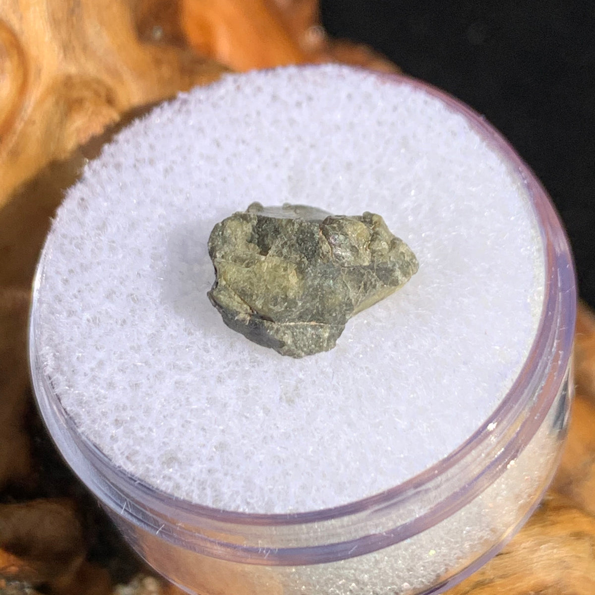 tatahouine meteorite in gem jar sitting on driftwood for display