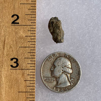 tatahouine meteorite next to a ruler and US quarter for scale