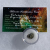 tatahouine meteorite in gem jar with a moldavite life meteorite identification card