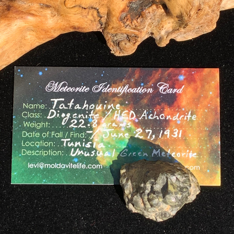 tatahouine meteorite with a moldavite life meteorite identification card next to driftwood